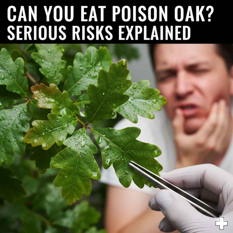 Can You Eat Poison Oak