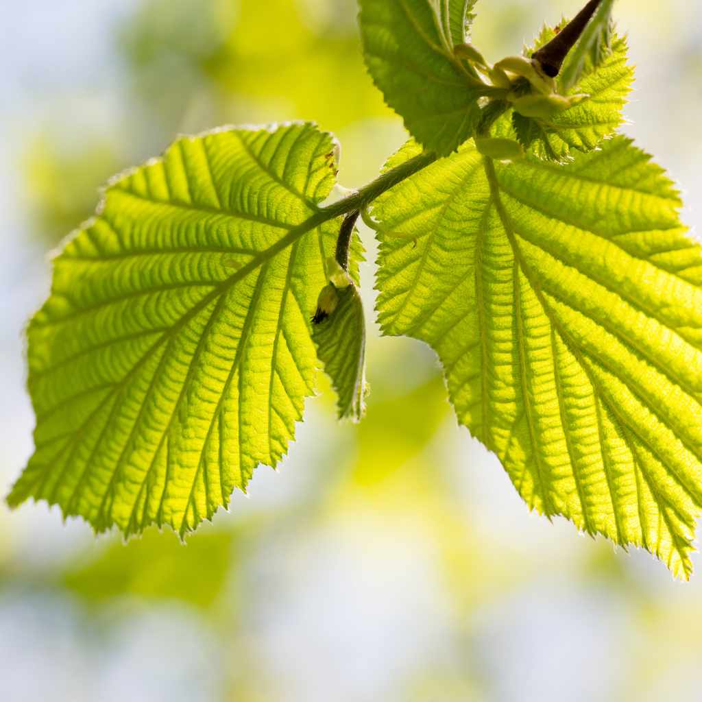 Preventive Measures and Maintenance