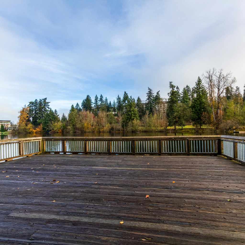 Long-Term Cost Considerations