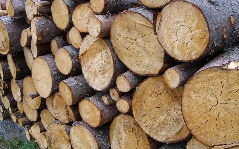 Stacked oak lumber boards ready for a woodworking shop