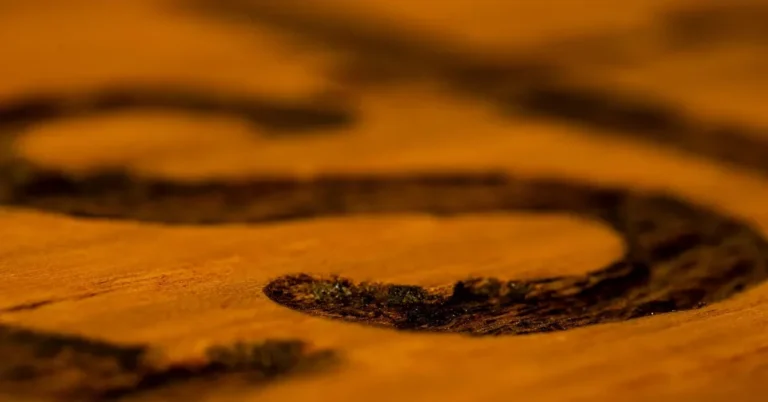 Dark wood stain soaked into open wood grain, showing how pigment binds to the fibers when fresh