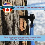 MAPLE TAPPER maple syrup tree tapping kit with spiles and tubing