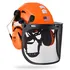 Forestry safety helmet with mesh face shield and ear muffs