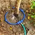 tree watering ring irrigation system for drip line