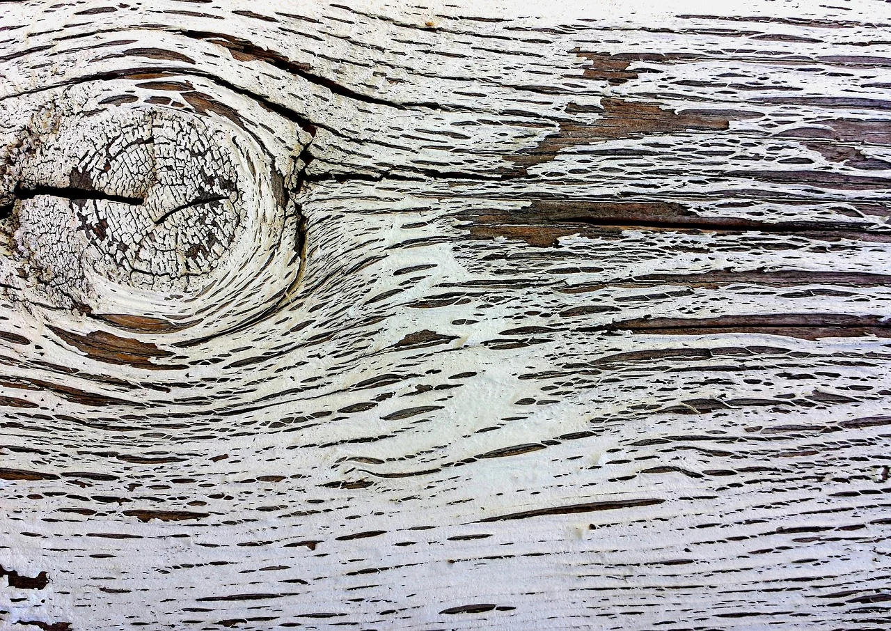 A knot in a pine board, the kind of spot shellac seals before finishing