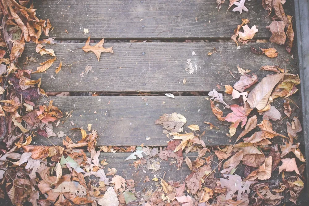 Fallen autumn leaves and debris on wood deck boards before sweeping