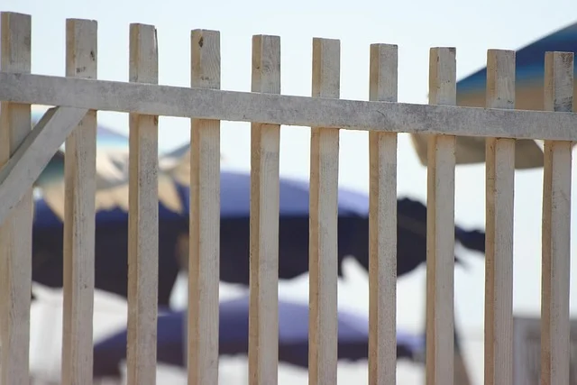 A wood picket fence panel, the classic style built from either cedar or pressure-treated pine