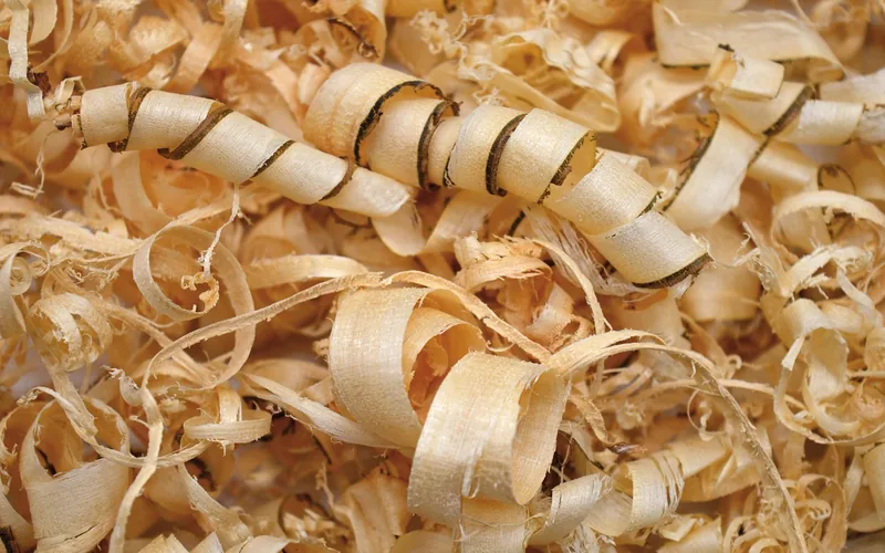 close-up of aromatic cedar wood shavings and curls used for sleep sachets close-up of aromatic cedar wood shavings and curls used for sleep sachets