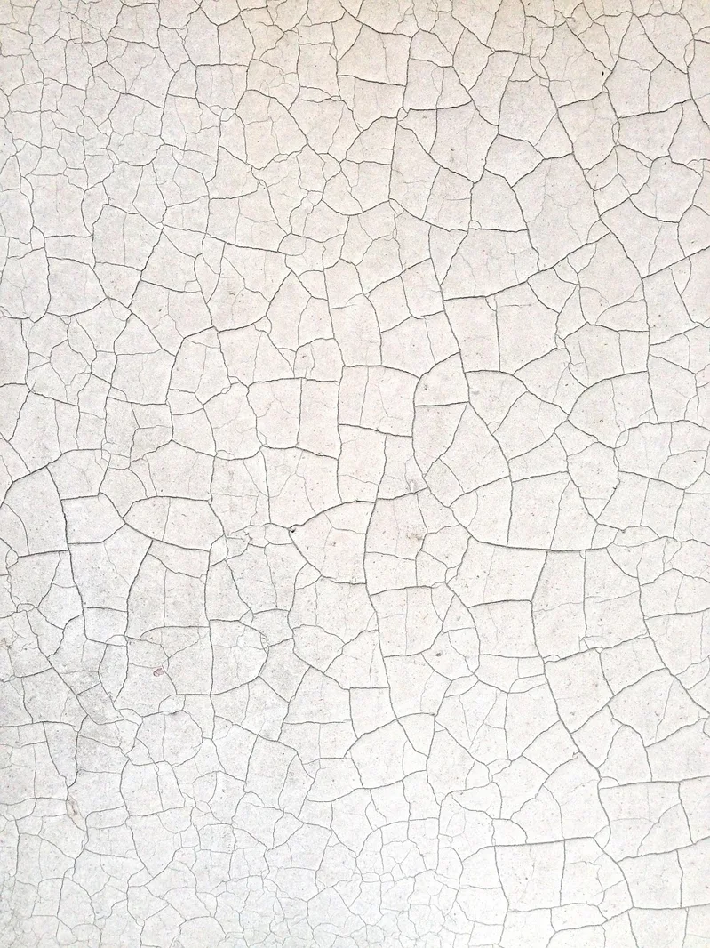 Crazed, cracked old paint film that has lost adhesion