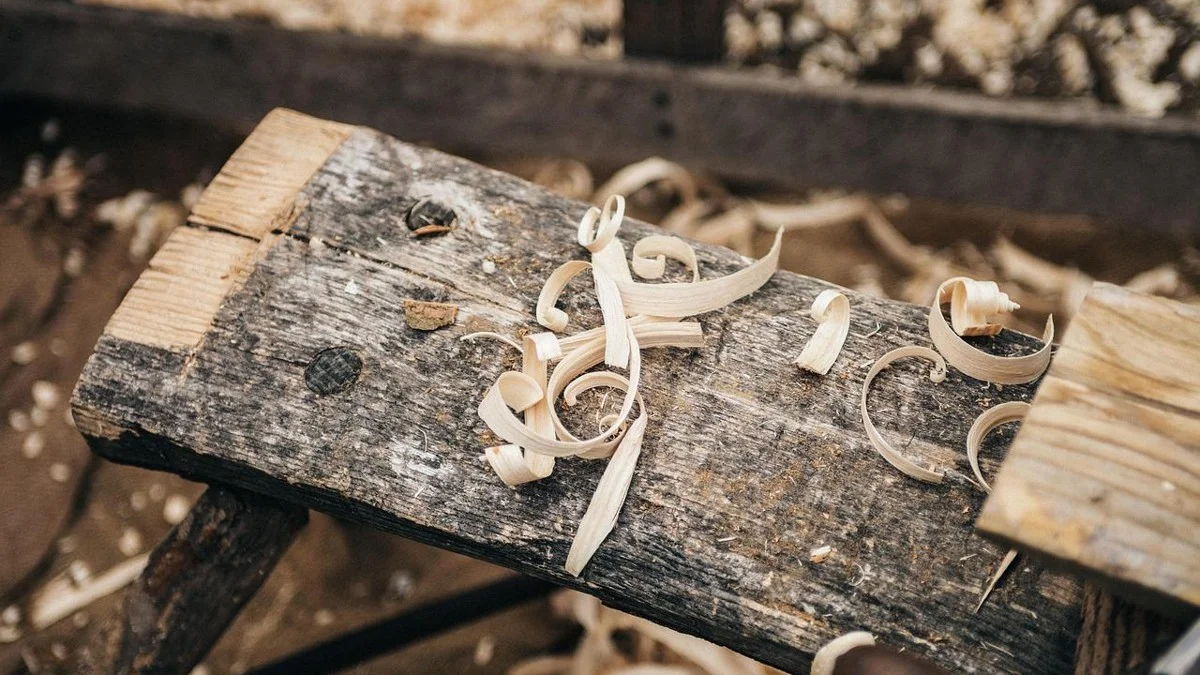 Curled wood shavings resting on a rough board, the kind of ribbon a clean shearing cut produces