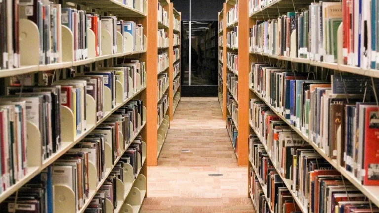 Library bookshelf aisle showing evenly spaced shelves full of books
