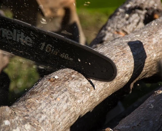 Pole saw and hedge trimmer tools