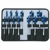 Bosch DSB5013P 13-Piece Daredevil Spade Drill Bit Set