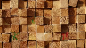 Birch vs Poplar: Hardness, Staining and Paint-Grade Compared