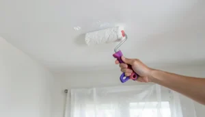 Zinsser Mold Killing Primer Vs Kilz: The Essential Winner