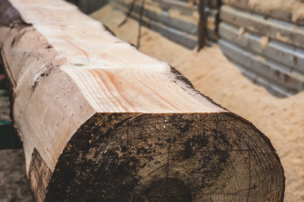 Freshly sawn log with flat cut faces beside a pile of sawdust at a sawmill