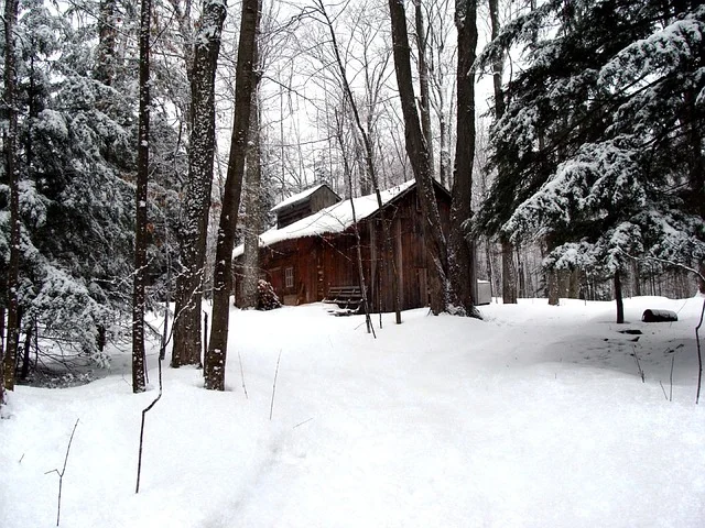 Snow-covered sugar shack in the woods where maple sap is boiled down into syrup