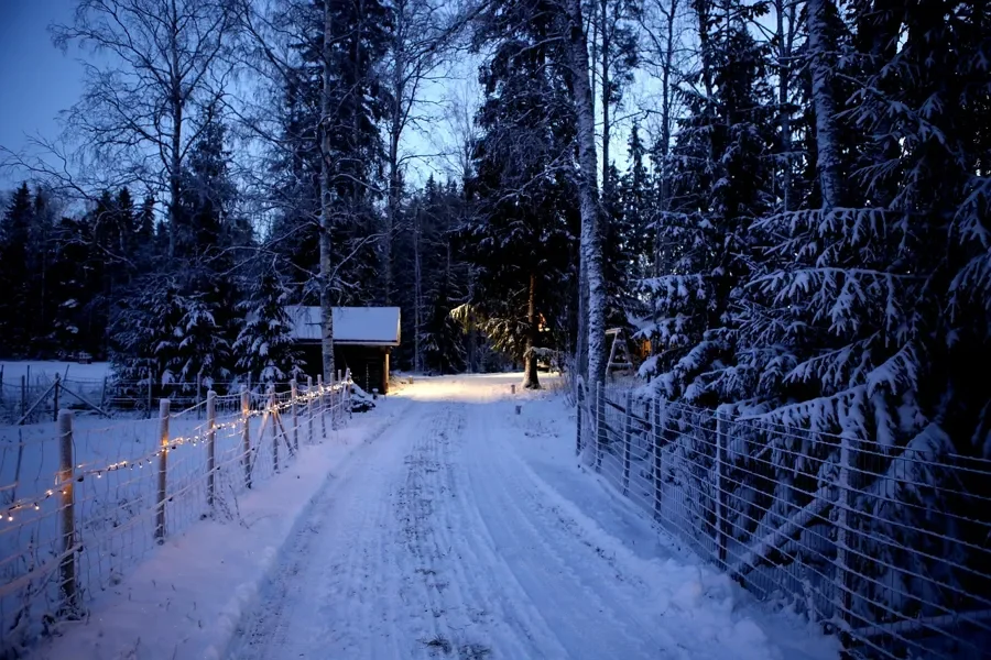 String lights along a wooden post fence beside a snowy lane at dusk