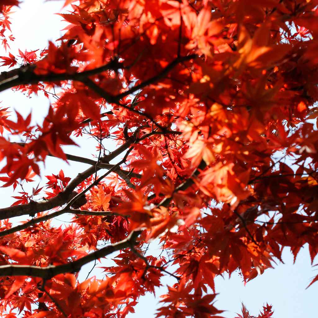 Real-Life Scenarios And Solutions