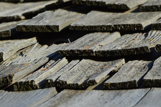 Close-up of individual cedar shakes showing thickness and rough split-grain texture