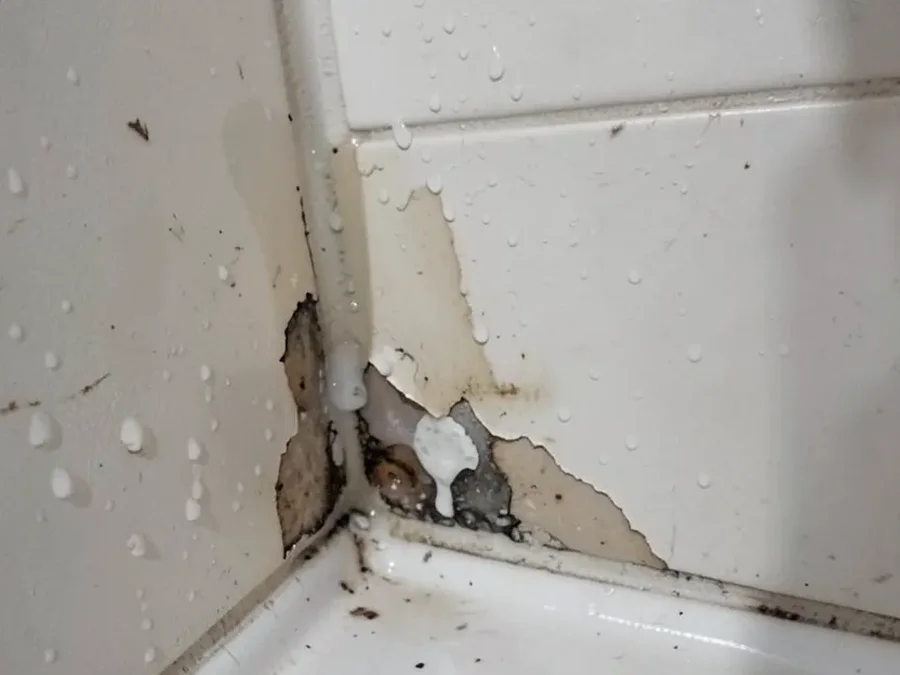 Peeling and bubbling paint on a damp bathroom wall corner near a shower