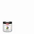 Krylon ColorMaxx indoor/outdoor acrylic latex paint, satin white