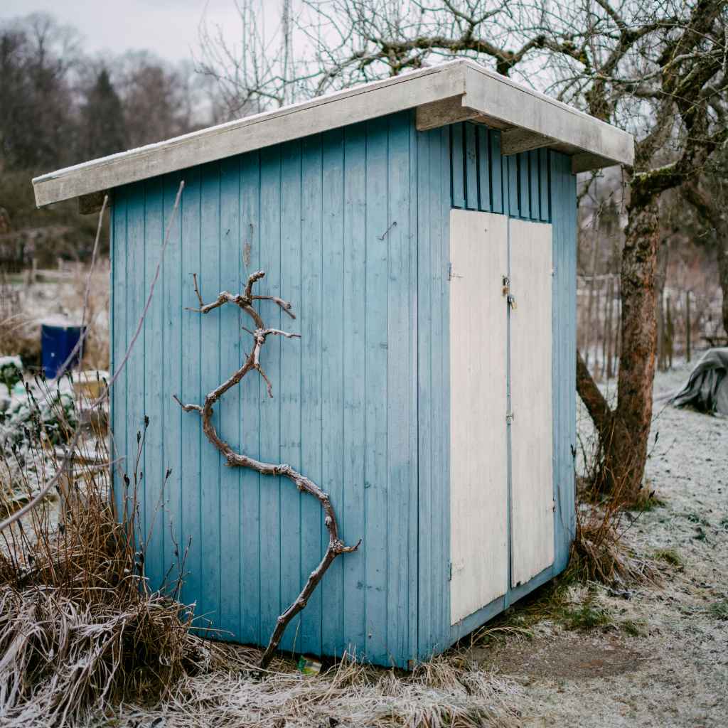 Maintaining Your Shed for Optimal Paint Storage