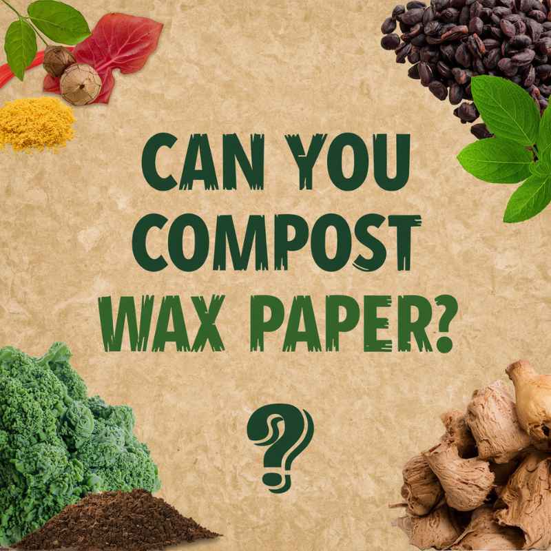 Can You Compost Wax Paper