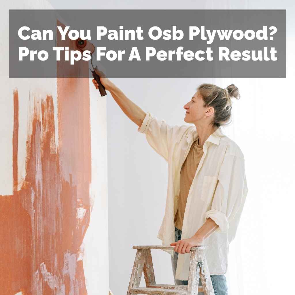 Can You Paint Osb Plywood