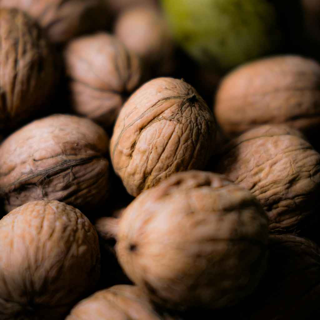 Understanding Black Walnut Nut Production Cycles