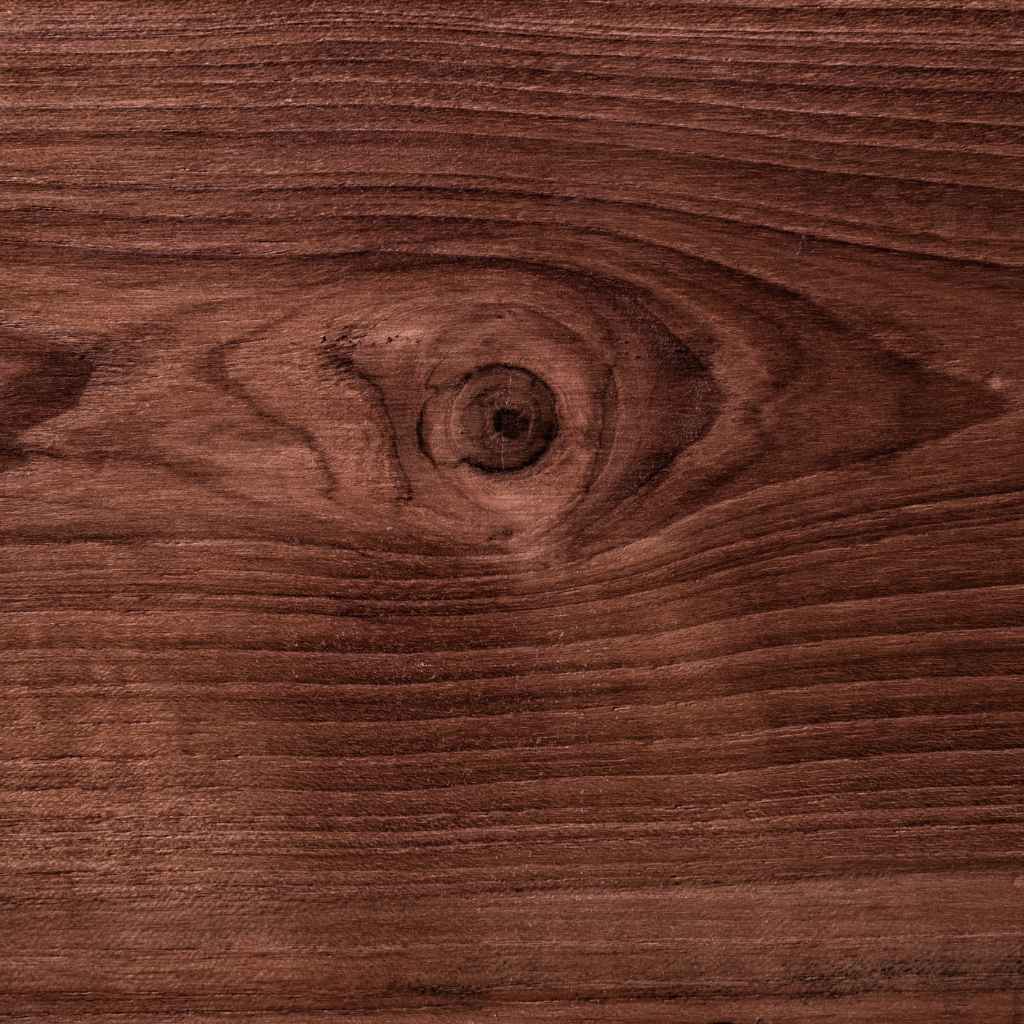 Quick Tips for Better Nut Production