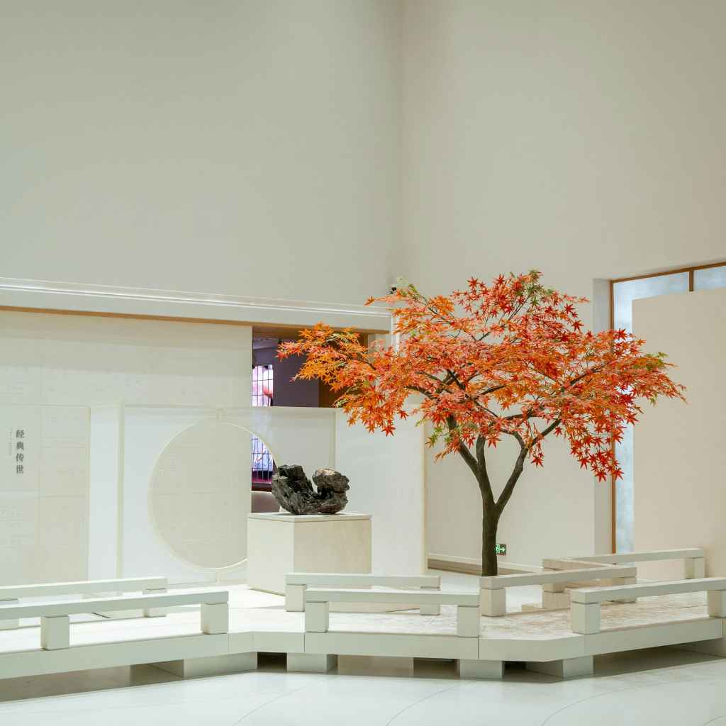 Planting Your Japanese Maple Seed Locally