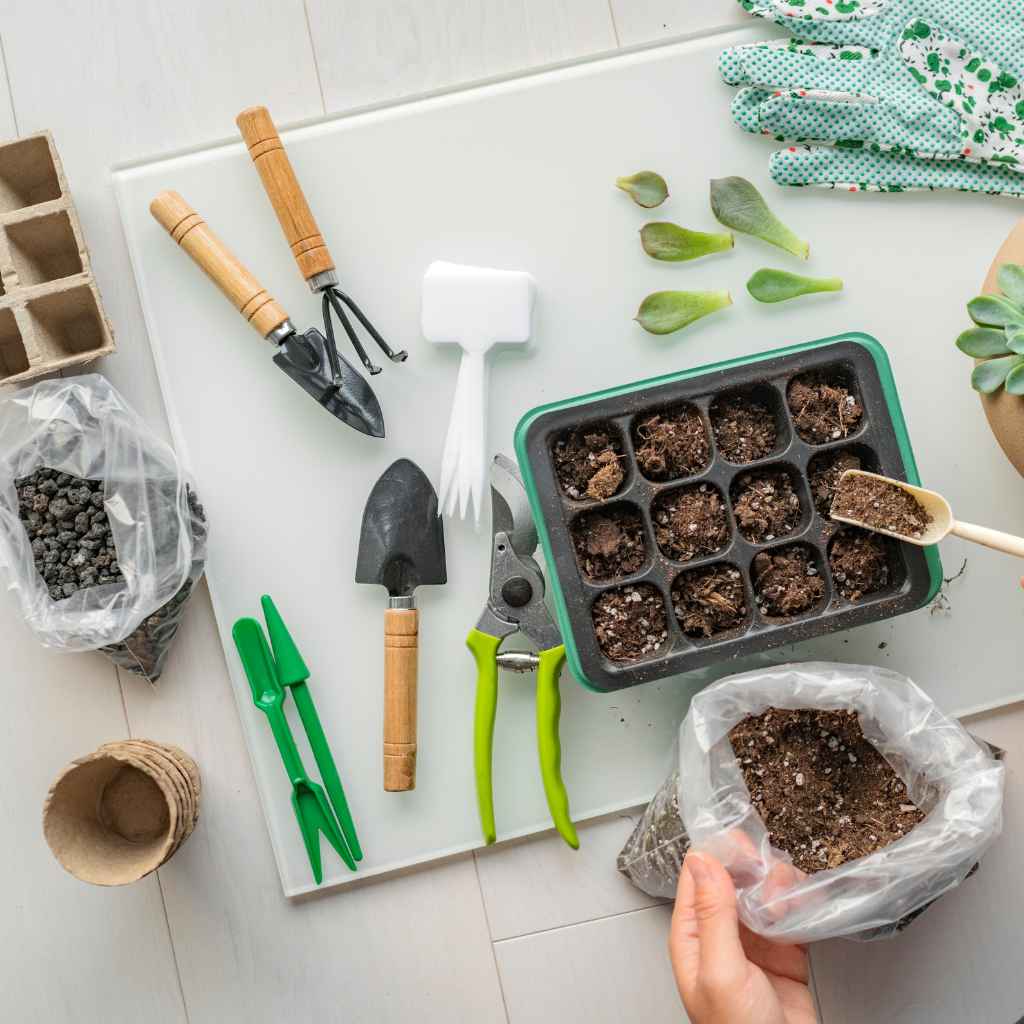 Troubleshooting Common Propagation Issues