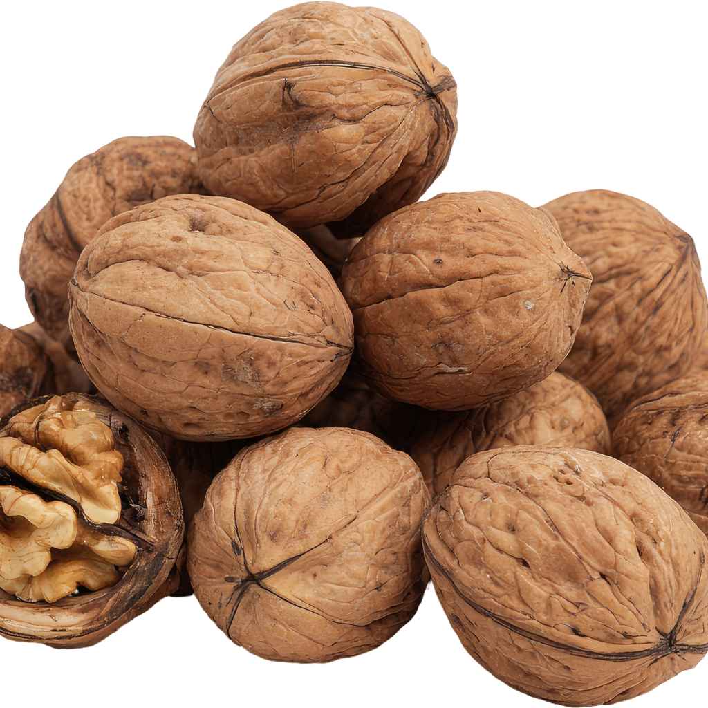Tips for Supporting Your Walnut Tree