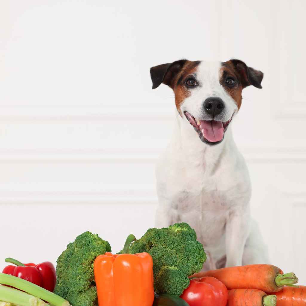 Understanding Cherry Tomatoes and Dogs