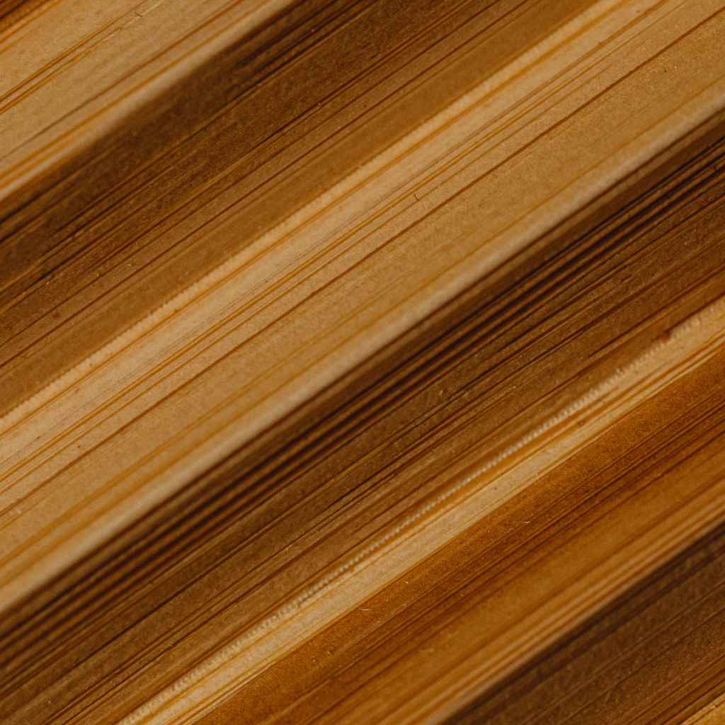 Black Walnut vs. Other Walnuts