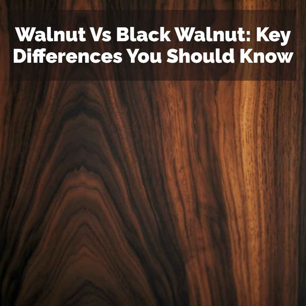 Walnut Vs Black Walnut