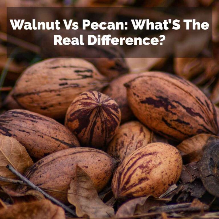 Walnut Vs Pecan