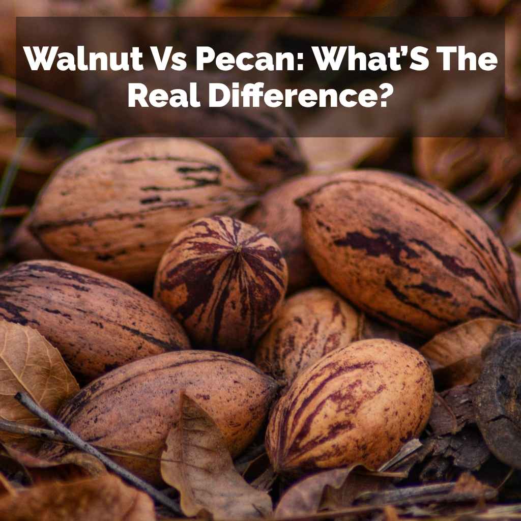 Walnut Vs Pecan