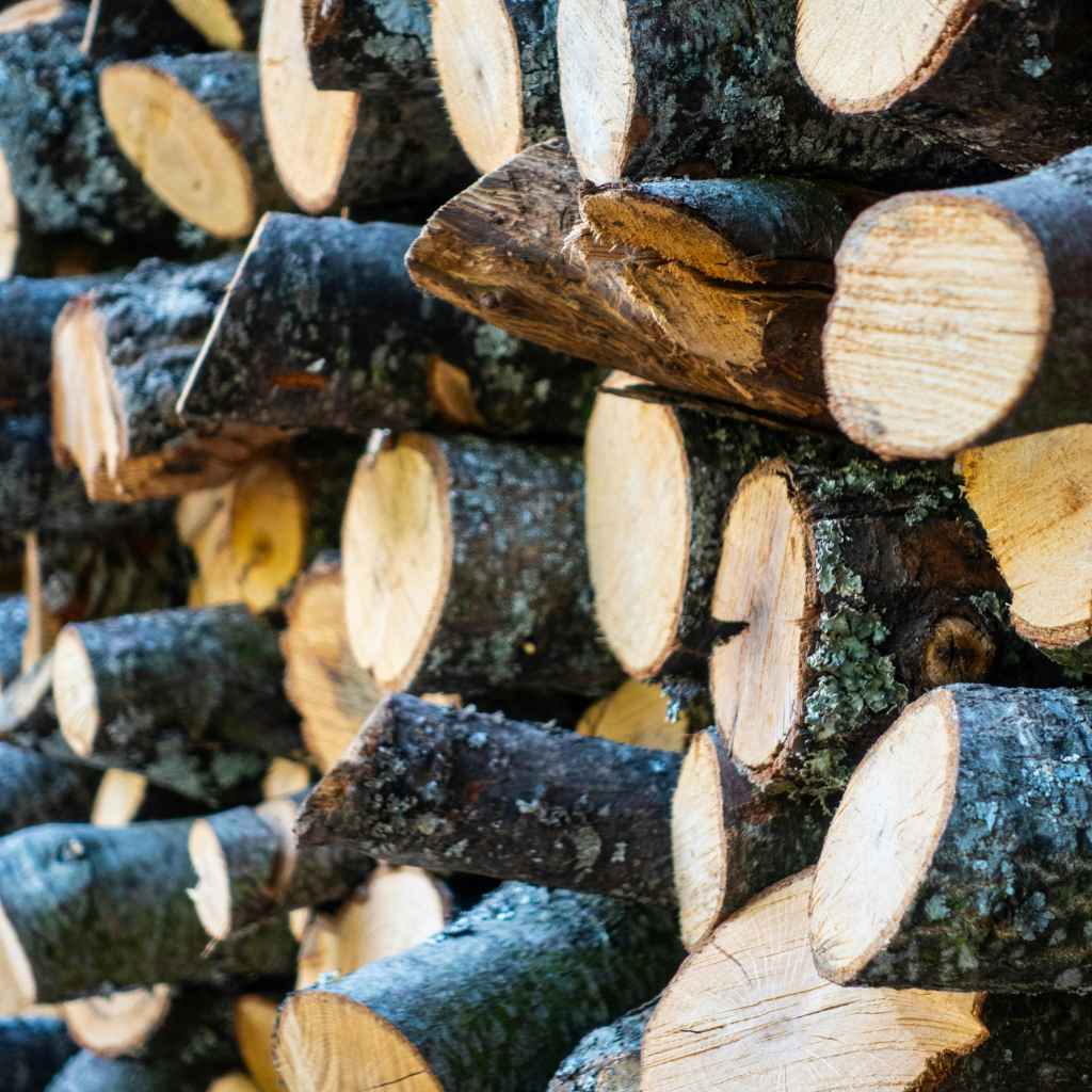 What Is Black Walnut Firewood