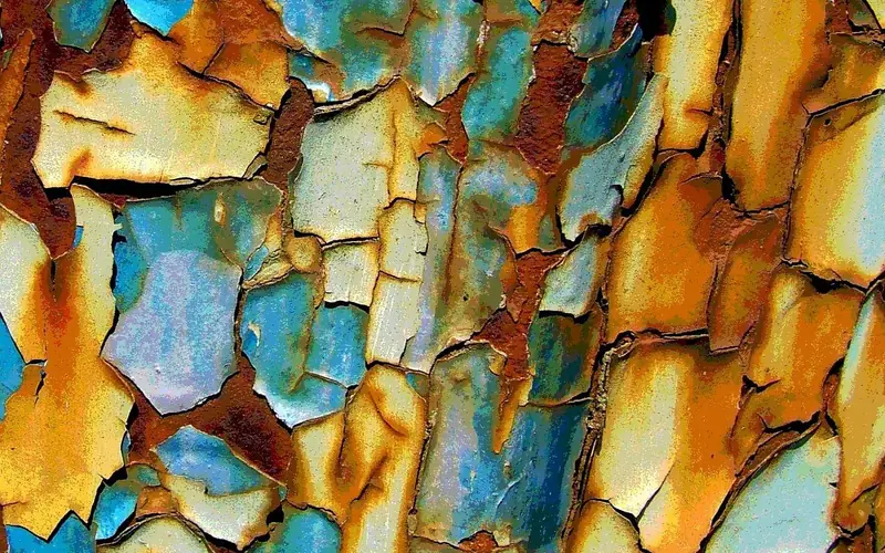 Cracked and peeling paint layers over orange rust on old metal Cracked and peeling paint layers over orange rust on old metal
