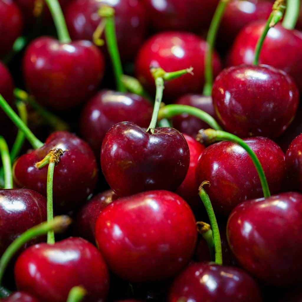 My First Cherry Seed Adventure