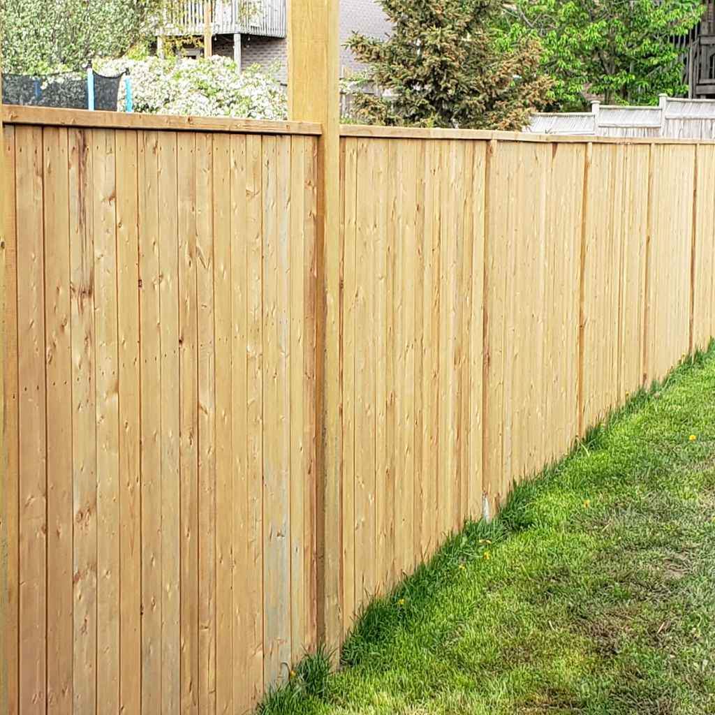Understanding Cedar and Its Natural Qualities