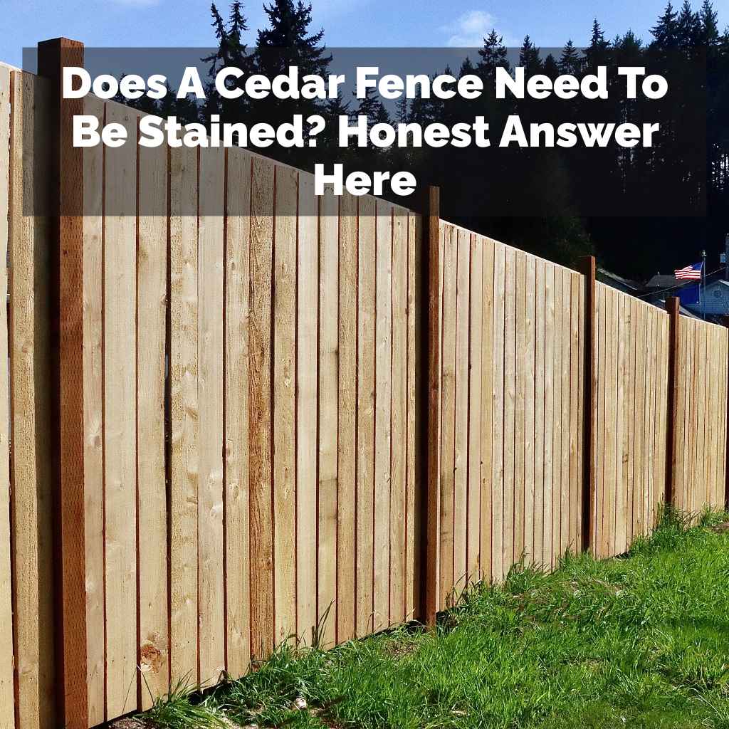 Does A Cedar Fence Need To Be Stained