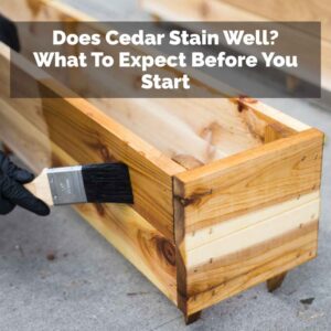 Does Cedar Stain Well? What To Expect Before You Start