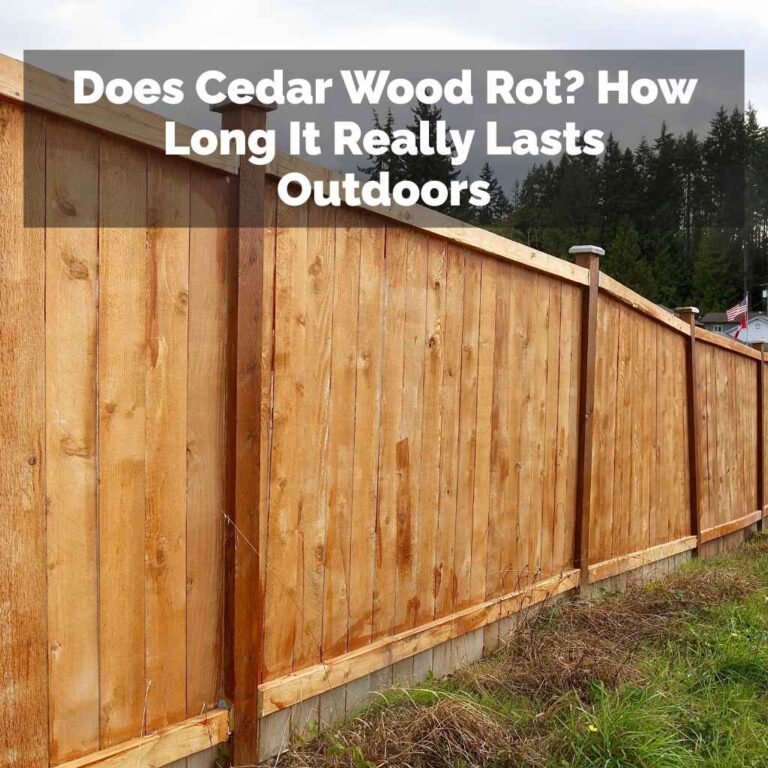 Does Cedar Wood Rot