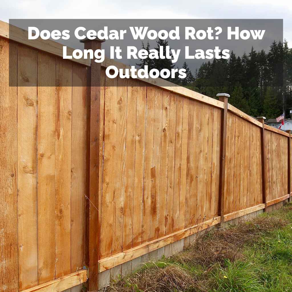 Does Cedar Wood Rot