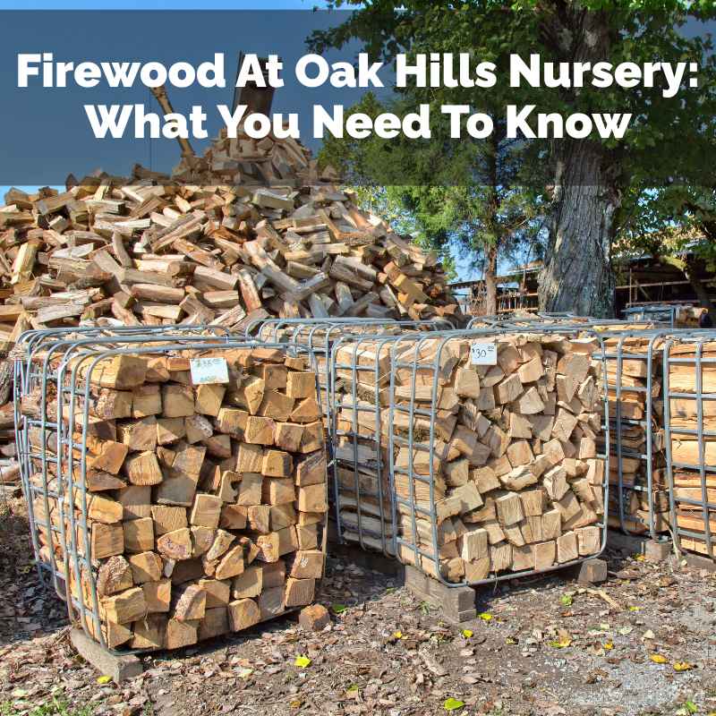Firewood At Oak Hills Nursery