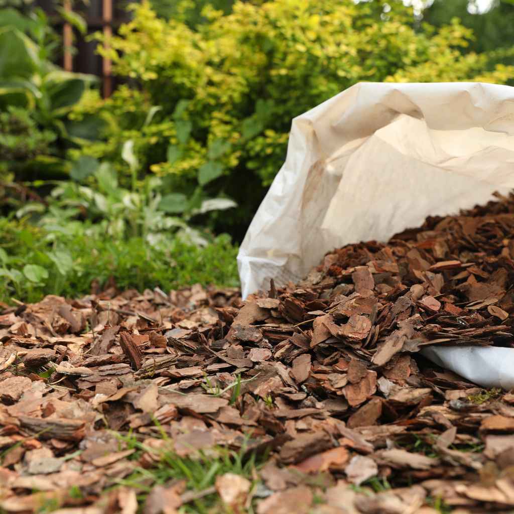 The Making of Hardwood Mulch