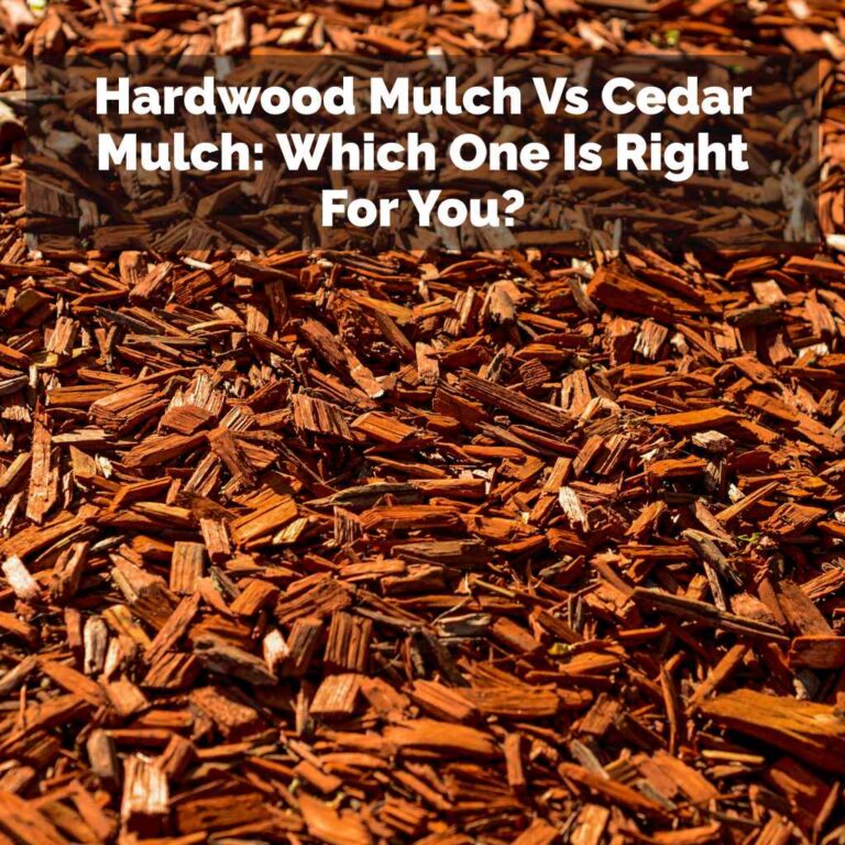 Hardwood Mulch Vs Cedar Mulch